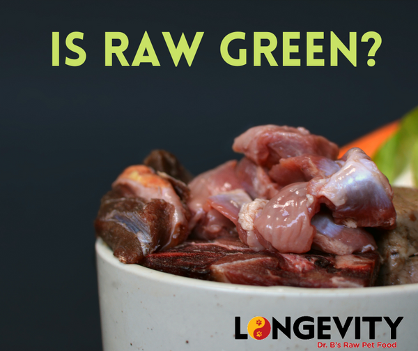 Is Raw Pet Food Green?