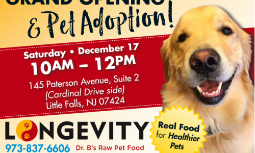 Grand Opening and Pet Adoption!
